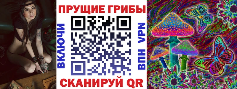 ОМГ ОМГ вход  Бодайбо  Псилоцибиновые грибы ЛСД 
